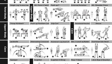 23+ Bodybuilding.com Full Body Dumbbell Workout PNG - what exercise is