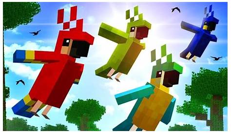 what to feed parrots in minecraft