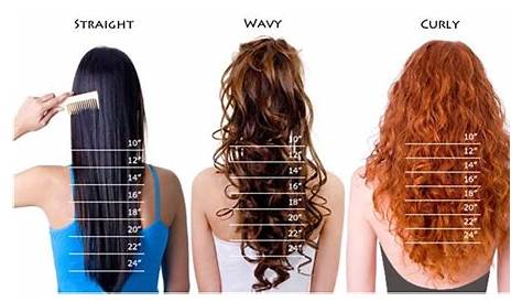 hair length chart - Google Search | Maybe's | Pinterest | Hair length