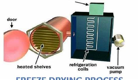 Emerging Technologies In Freeze Drying - Introduction to BPS