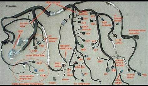 Ls3 Wiring Harness Diagram – Easy Wiring