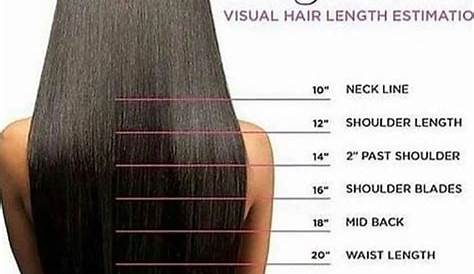 Hair Length Chart - The Hair Length Chart Naturalbella / 2.how to