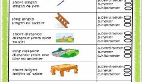 Maths Measurement Worksheet 2 Grade 3 - EStudyNotes