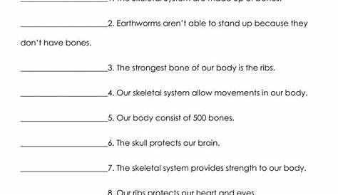 skeletal worksheets answers