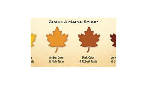 grades of maple syrup chart