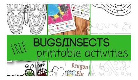 insect printables