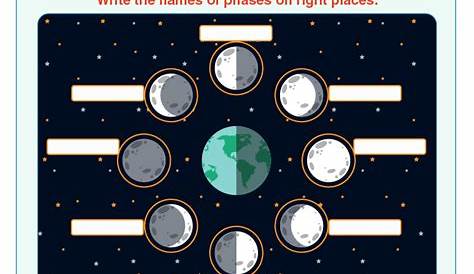 moon phases worksheet 1st grade