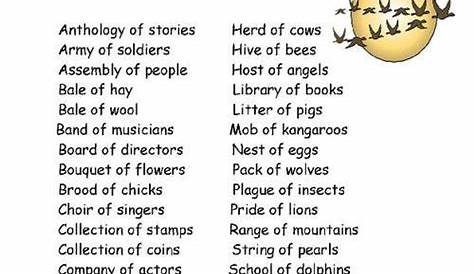 Anne Sheets: Collective Nouns Worksheet For Grade 2 Pdf