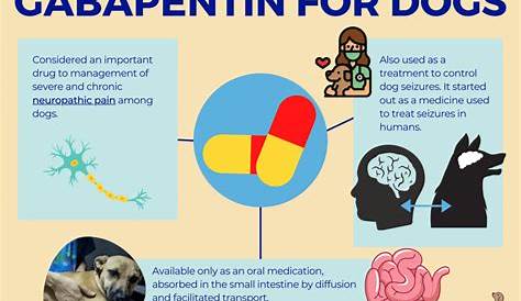 gabapentin for dogs dosage chart kg