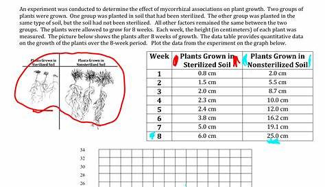 34 Graphing Of Data Worksheet Answers - support worksheet