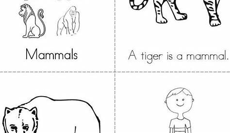 mammals for kindergarten