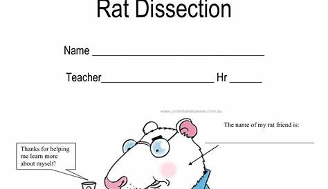 rat dissection worksheets