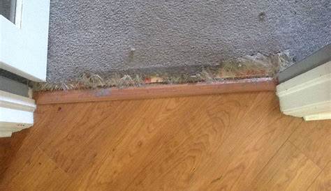 repair - How do I fix where cat scratched and tore carpet from