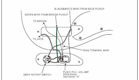 fender squier wiring diagram schematic