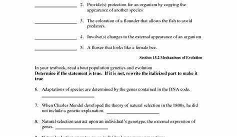 human evolution worksheet answer key