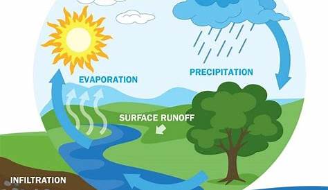Water Cycle | Summary, What Is It? | A Level Geography Revision Notes