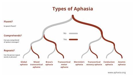 Aphasia as a Symptom of Autoimmune Encephalitis – PennNeuroKnow