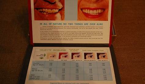 Vintage Dental tooth color chart dentist tooth size and color | Etsy