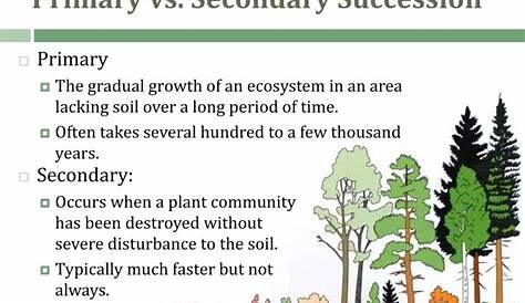 PPT - Ecological Succession Change in an Ecosystem PowerPoint