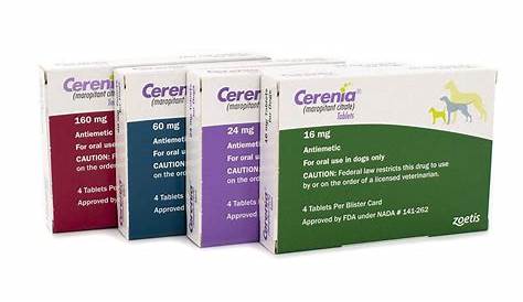 Cerenia Dose For Cats Oral - Cat Meme Stock Pictures and Photos