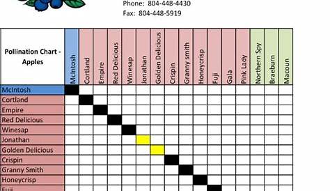 Apple pollination chart and month(s) you'll have fruit from each type