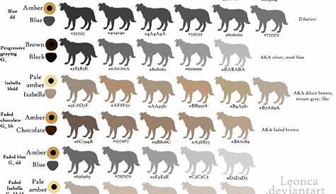 french bulldog gene chart