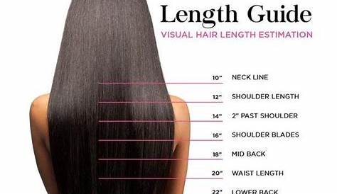 #hair #length #guide | Hair length guide, Hair lengths, Waist length hair