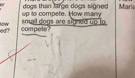 how does a dog stop a video math worksheet answers