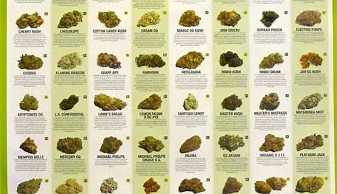 sizes of weed chart