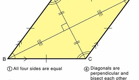 properties of rhombus worksheets