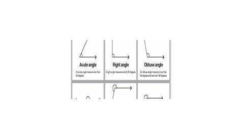 types of angles worksheet pdf