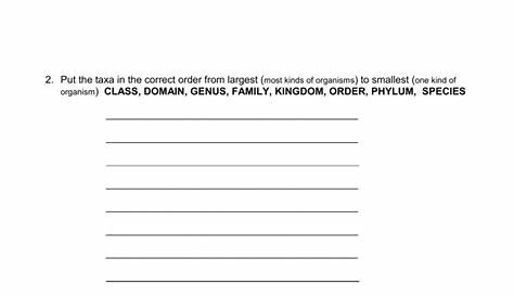Biological Classification Worksheet Answers
