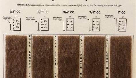 hair clipper guard size chart