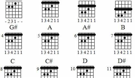 Guitar for beginners | Guitar Chords