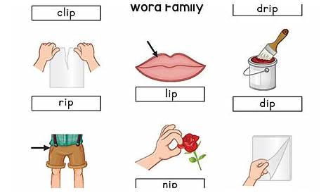 ip word family worksheets