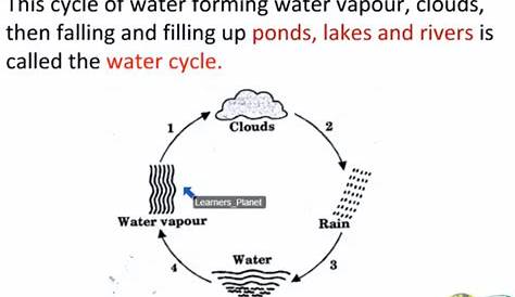 The water cycle worksheet with answers grade 2