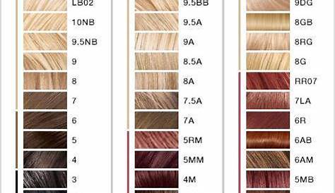 warm tone hair color chart