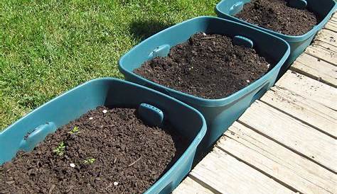 storage containers for vegetables