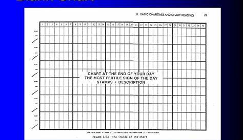 Creighton Model Chart Printable - Printable Templates