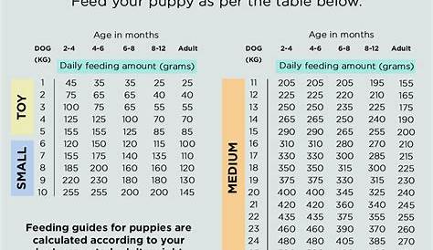 fromm dog food puppy feeding chart