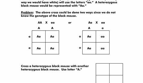 genetics worksheet 1 answer key