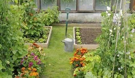 how much sun for veggie garden