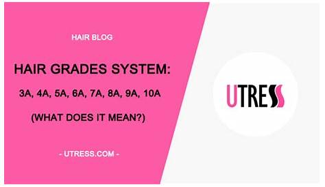Hair Grades System: 5A, 6A, 7A, 8A, 9A, 10A, 12A, 15A [Infographic]