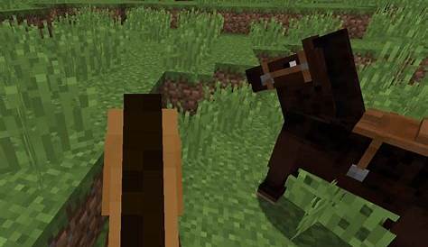 how to ride horse in minecraft