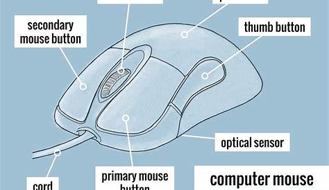 components of a computer mouse