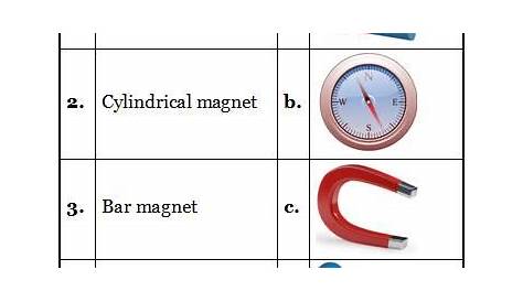 class 6 science fun with magnets worksheets