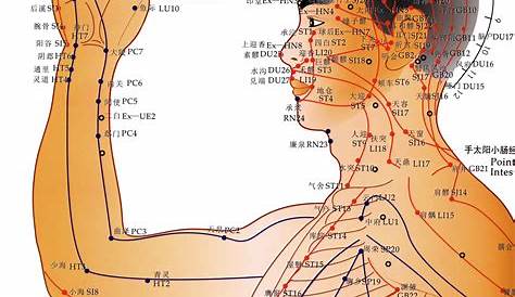Acupuncture For Skin Overview | LearnSkin