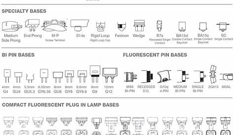 Light Bulb Base Chart | Reference Charts | Bulbs.com