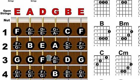 Guitar Fretboard and Chord Chart Instructional Poster | Reverb