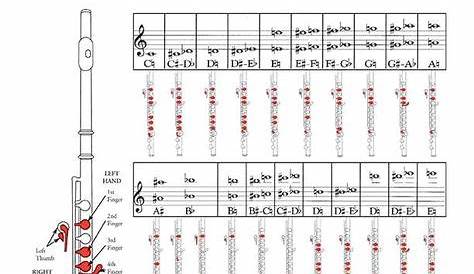 Flute fingering chart | Flute | Pinterest | Flutes, Instruments and Chart